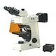 Fluorescent Trinocular Biological Microscope